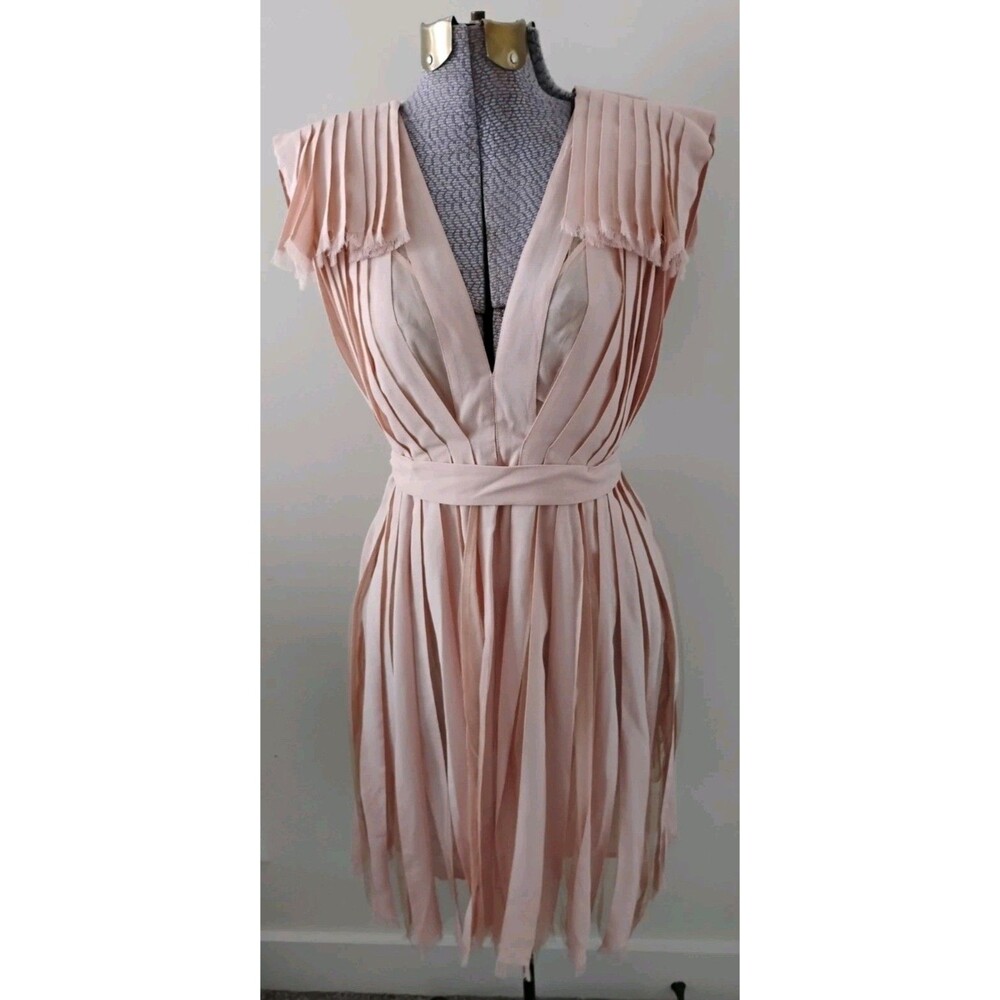 NWT Stella McCartney Mara Dress Pleated Sz 42 US 6/8 Nude Blush Sheer Sexy